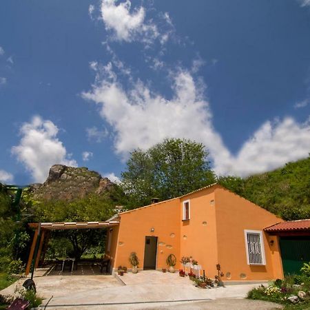 B&B Casa Vacanze Benvenuti Al Sud Aiello Calabro Eksteriør billede